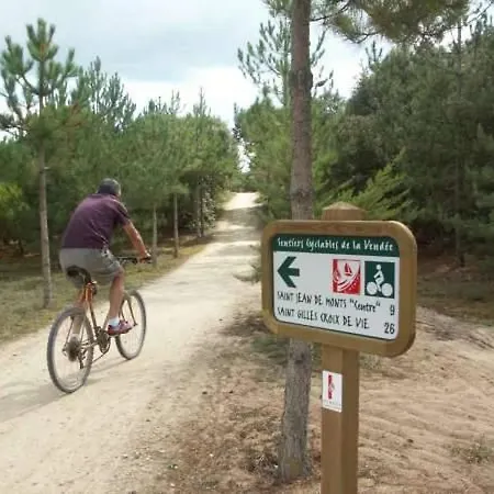 Kamp alanı Mobil Vendeen Le Bois Masson